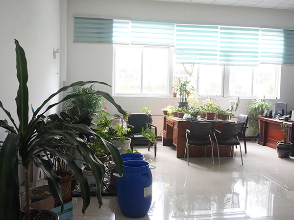 貴輪（lún）印象